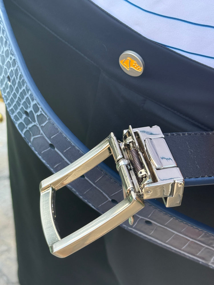 BELTS